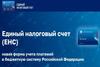 О взыскании сумм задолженности по единому налоговому счету
