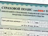 Начата публикация сведений о деятельности страховщиков